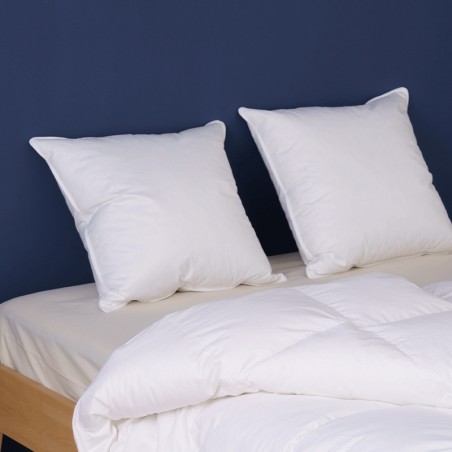 Oreiller en duvet et plumes blanc parfait en duvet