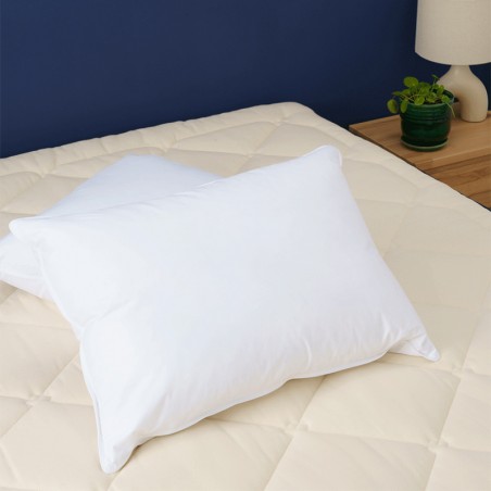 Oreiller duvet ferme