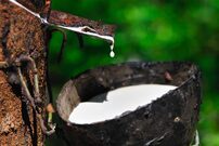 Tout savoir sur le latex naturel