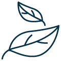 Pictogramme représentant une feuille illustrant le 100% naturel
