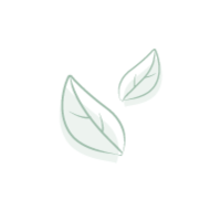 icone représentant des feuilles