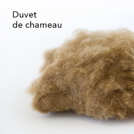 Duvet de chameau