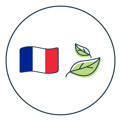 Pictogramme représentant un drapeau Français et une feuille d'arbre