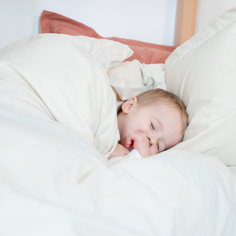 image représentant un enfant dormant dans un lit composé d'une parure de lit en coton bio blanc cassé