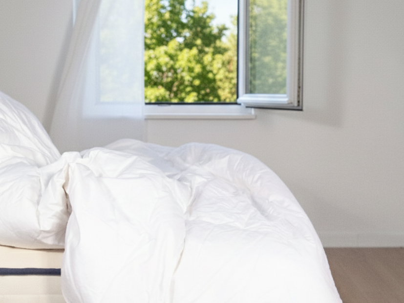 Couette en duvet en train d'être aérée à une fenêtre, montrant les bons gestes d'entretien.