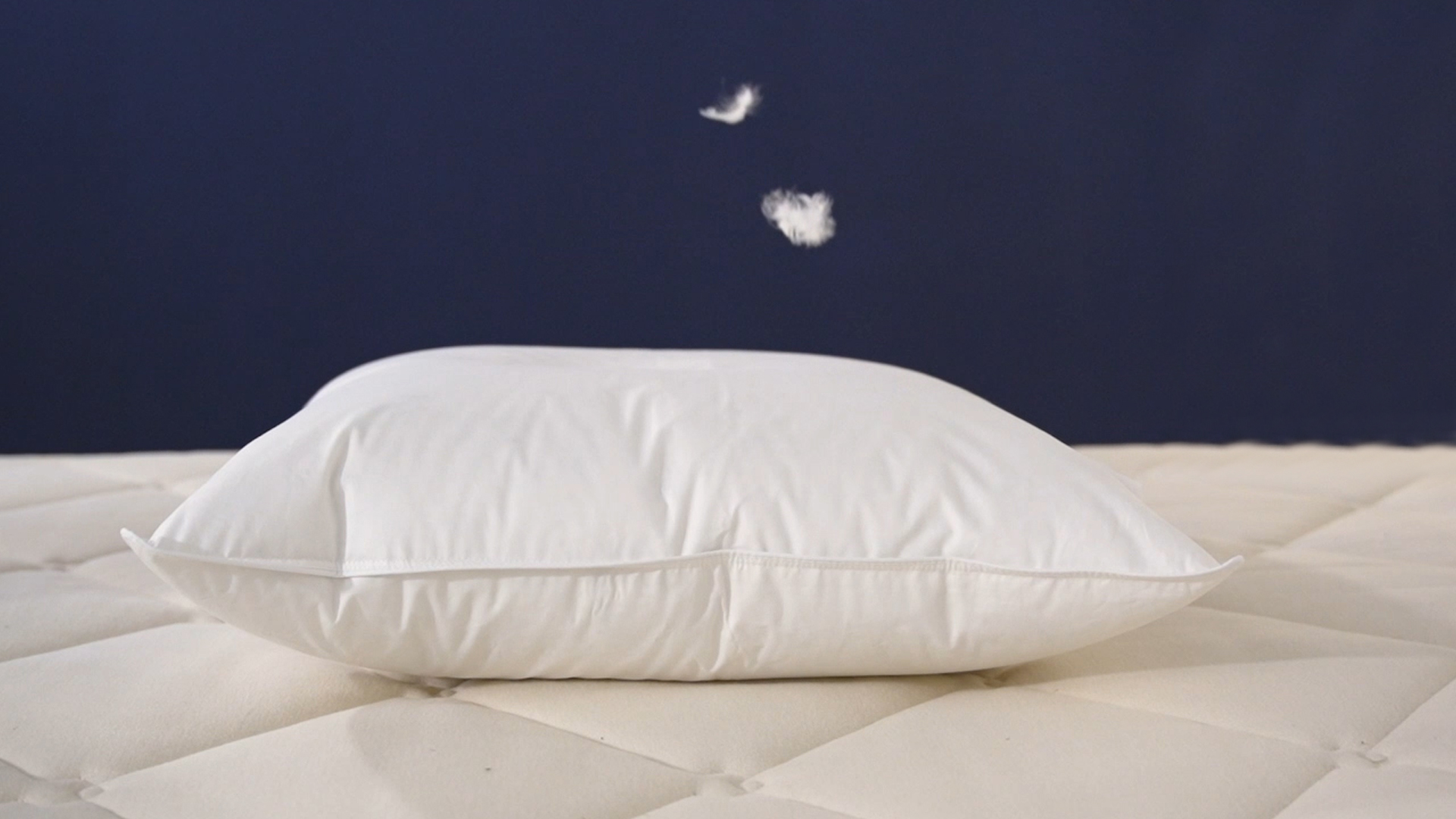 Duvet de canard