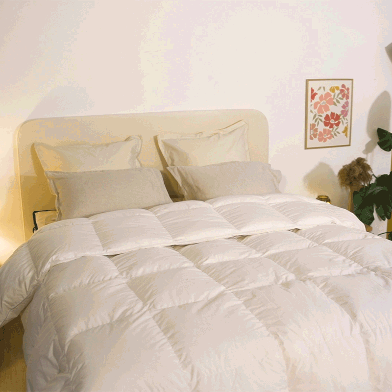 couette cosme adulte légère et gonflante