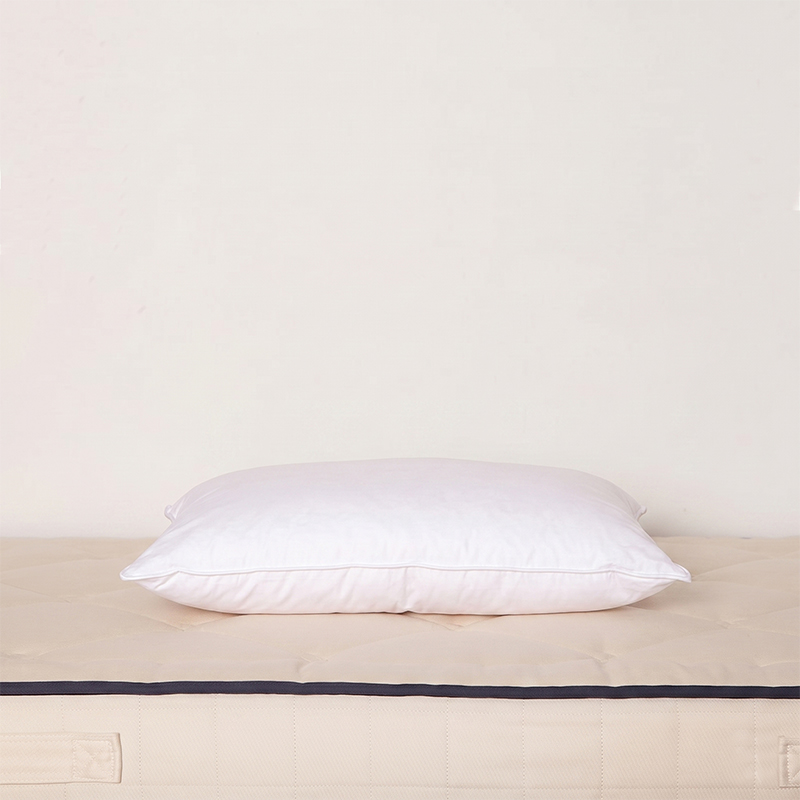 image représentant un oreiller fin adulte pour dormir sur le ventre